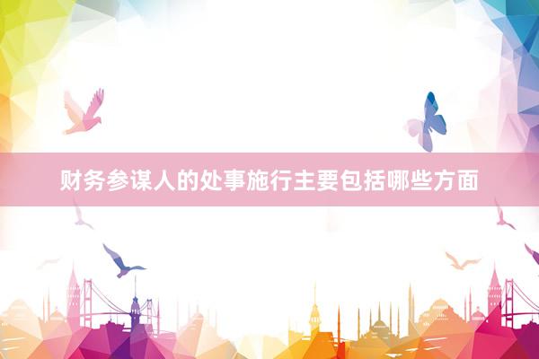 财务参谋人的处事施行主要包括哪些方面