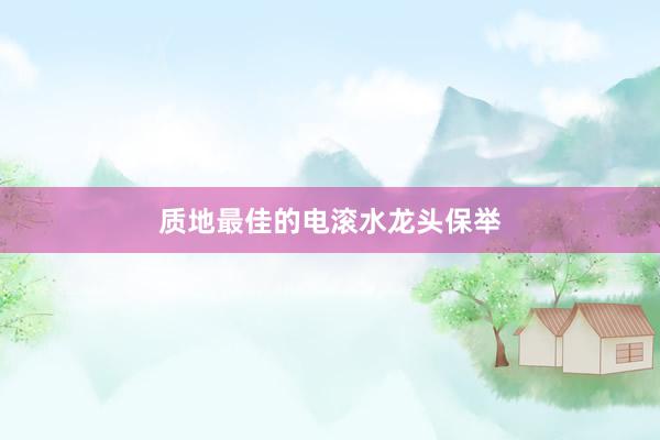 质地最佳的电滚水龙头保举