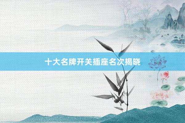 十大名牌开关插座名次揭晓